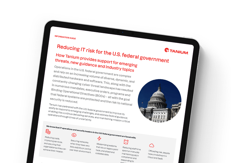 Reducing IT Risk for Federal Agencies