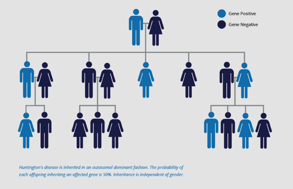 Huntington's disease inheritance diagram