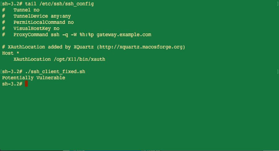 Terminal output showing SSH configuration review and vulnerability detection results